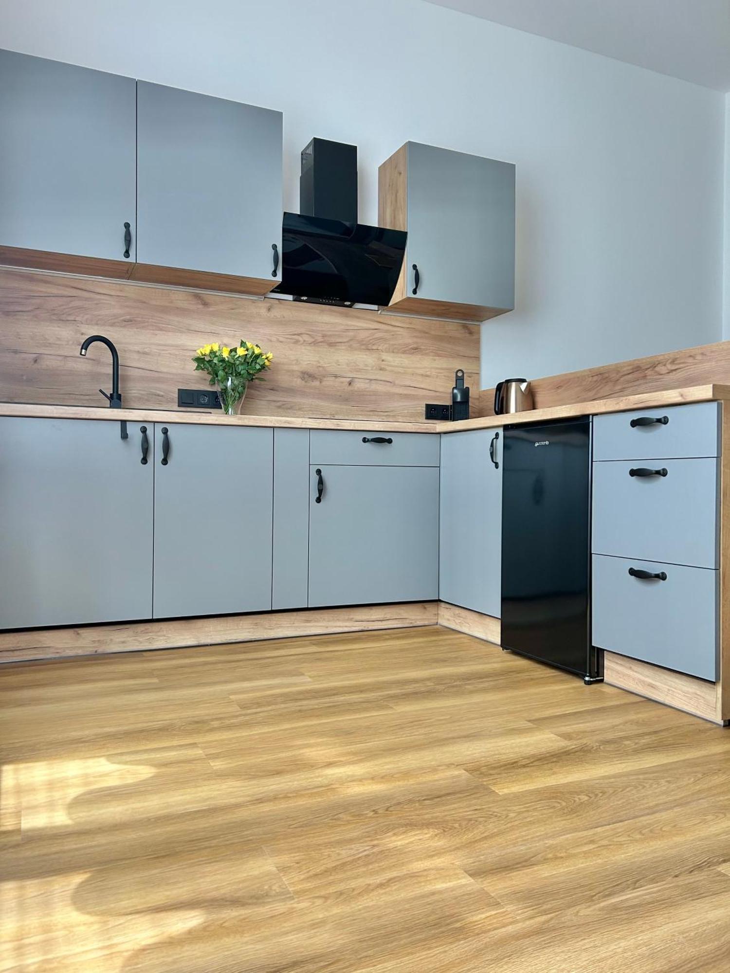 Apartment Dita Karlovy Vary Bagian luar foto
